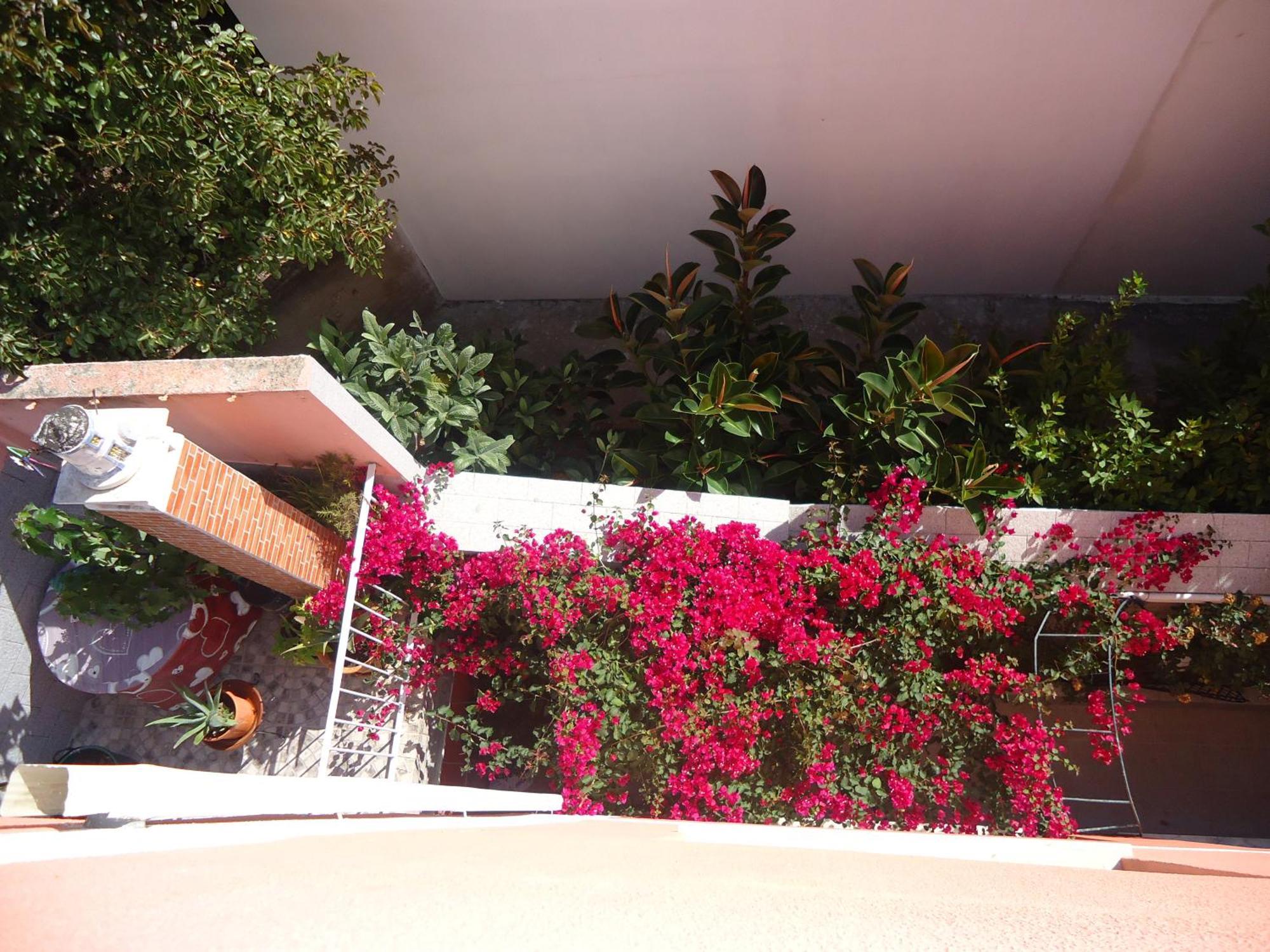 Hotel Aviz Figueira da Foz Kültér fotó